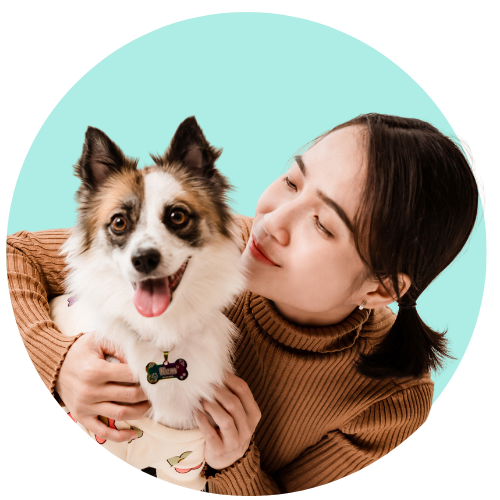 dla właściciela 2